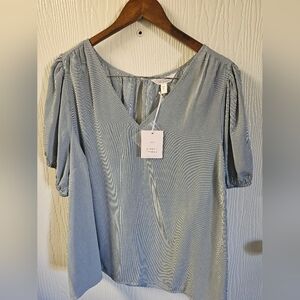 Striped Blue Blouse